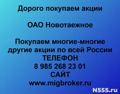 Покупаем акции «Новотаежное»